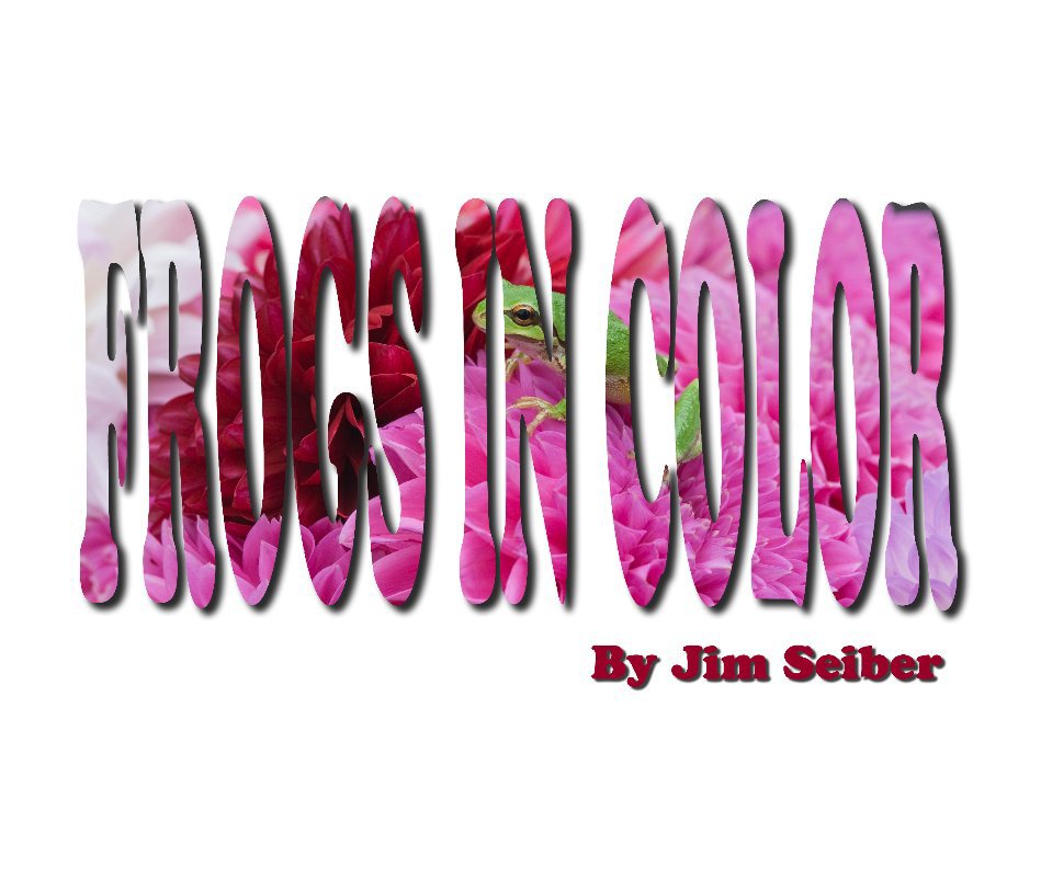 View Frogs in Color by Jim Seiber