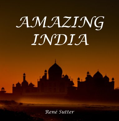 AMAZING INDIA book cover