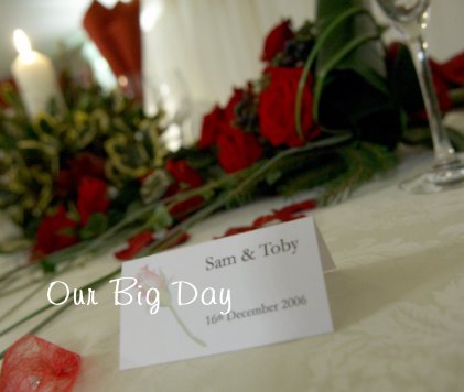 Our Big Day book cover