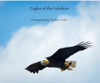 Eagles of the Ashokan book cover