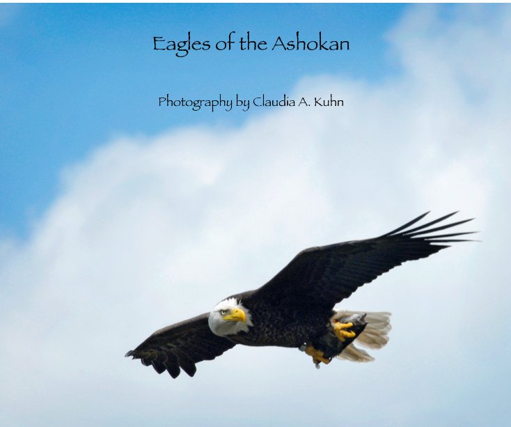 View Eagles of the Ashokan by Photography by Claudia A. Kuhn
