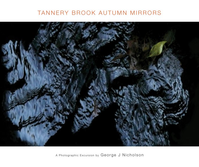 Visualizza TANNERY BROOK AUTUMN MIRRORS  (Softcover, 10 x 8) di George J Nicholson