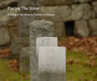 Placing The Stone book cover