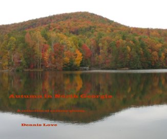 Autumn in North Georgia book cover