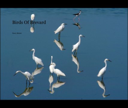 Birds Of Brevard book cover