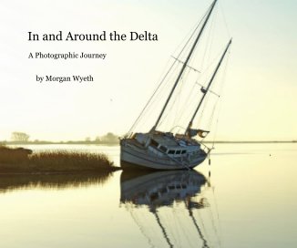 In and Around the Delta book cover