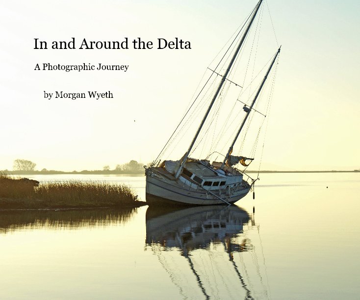 View In and Around the Delta by Morgan Wyeth