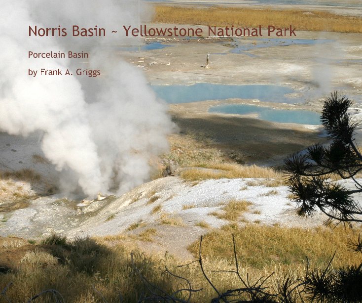 View Norris Basin ~ Yellowstone National Park by Frank A. Griggs