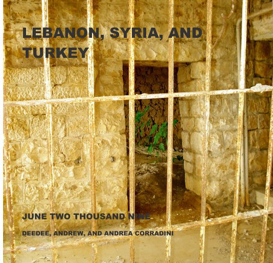View LEBANON, SYRIA, AND TURKEY by DEEDEE, ANDREW, AND ANDREA CORRADINI