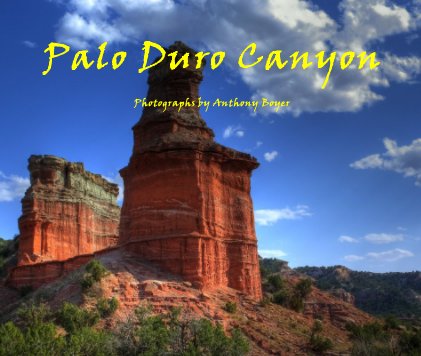 Palo Duro Canyon book cover