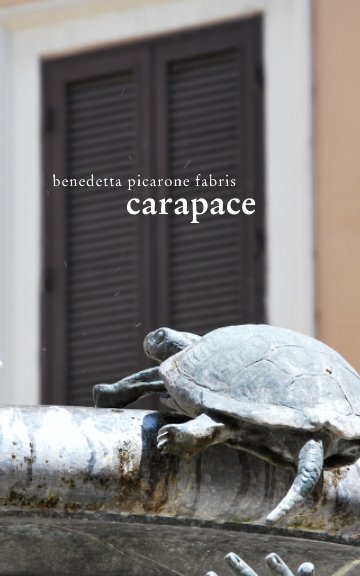 View Carapace by Benedetta Picarone Fabris