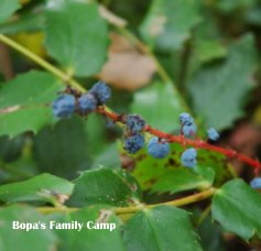 .
















Bopa's Family Camp book cover