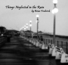 Things Neglected in the Rain book cover