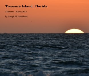 Treasure Island, Florida 2018 book cover