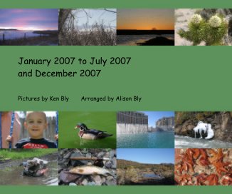 January 2007 to July 2007 and December 2007 book cover