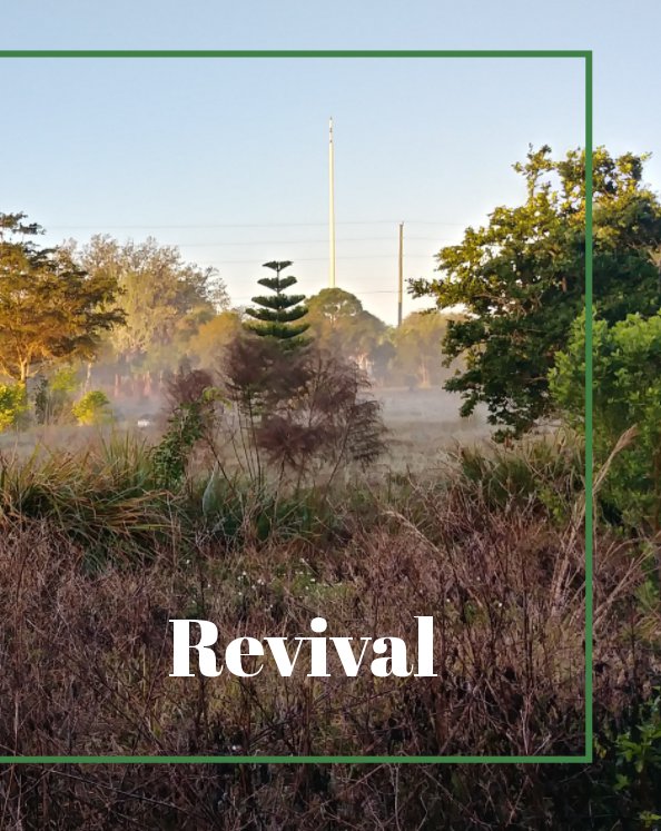 View Revival by Jennifer Beal