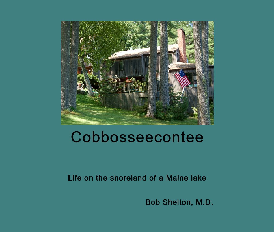 View Cobbosseecontee by Bob Shelton MD