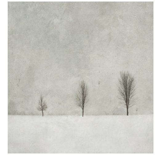 View The Tree by Jamie Heiden