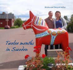 Twelve months in Sweden book cover