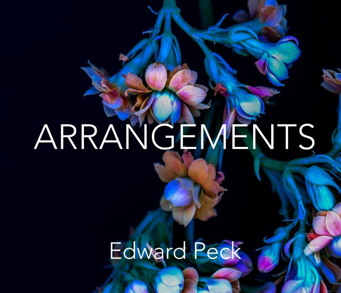 View Arrangements by Edward Peck