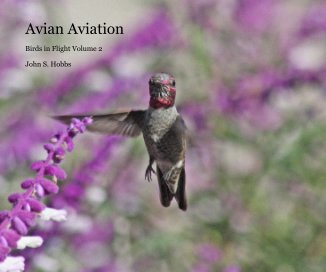 Avian Aviation book cover