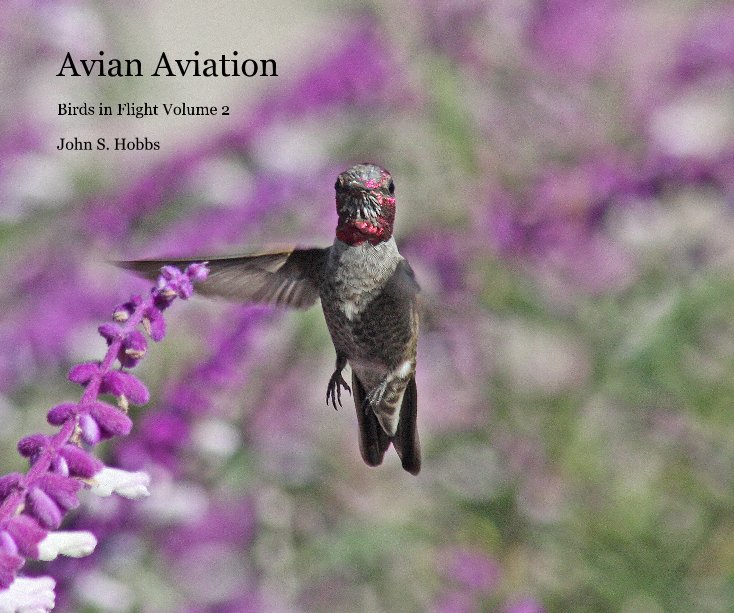 Ver Avian Aviation por John S. Hobbs