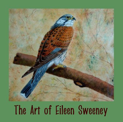 The Art of Eileen Sweeney book cover