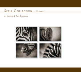 JFK Sepia Collection book cover