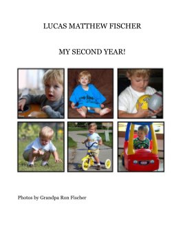 LUCAS MATTHEW FISCHER book cover