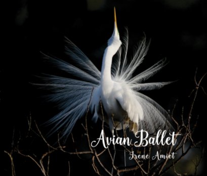 Avian Ballet book cover