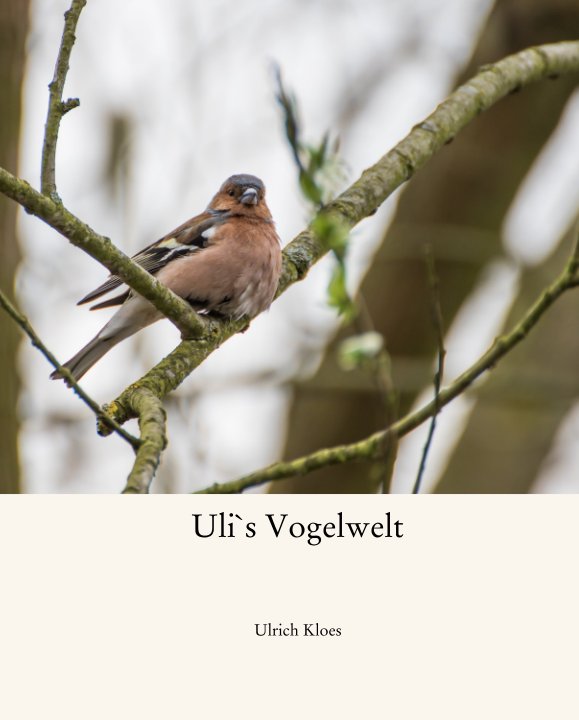 Uli`s Vogelwelt nach Ulrich Kloes anzeigen