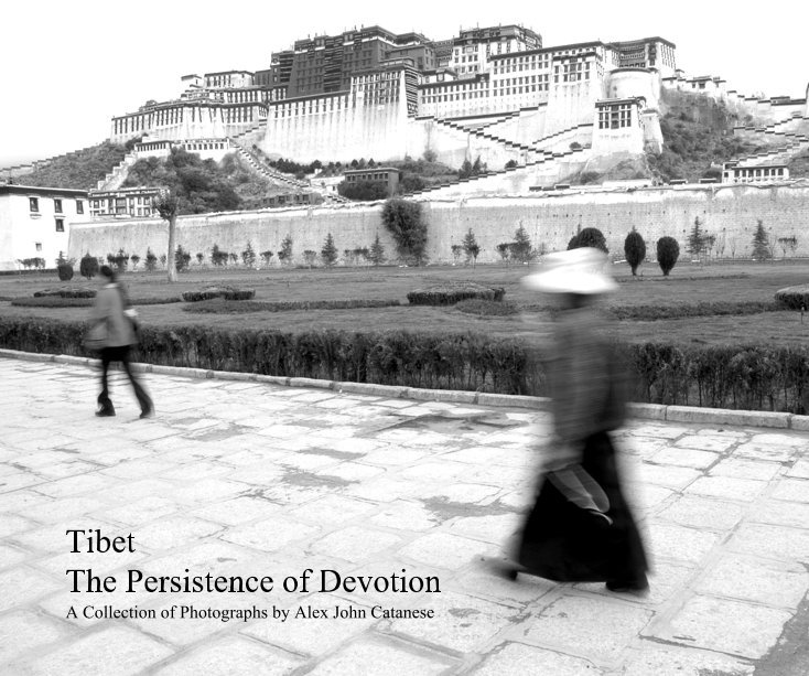 View Tibet: The Persistence of Devotion by Alex John Catanese