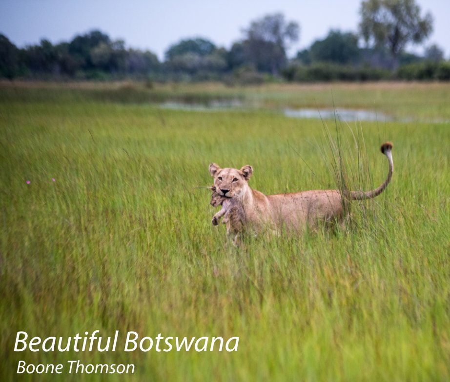View Beautiful Botswana by Boone Thomson