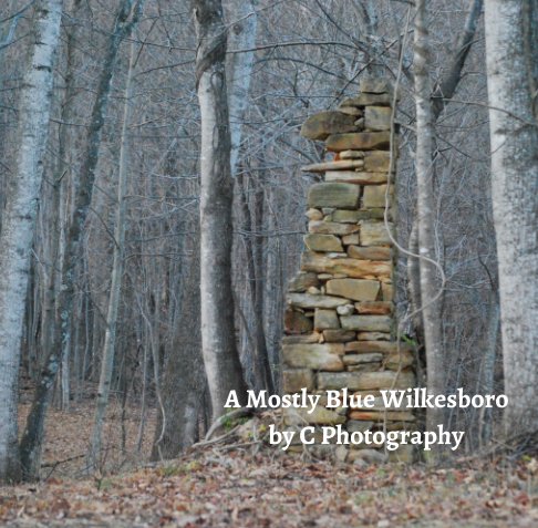 View A Mostly Blue Wilkesboro: Chimney and Trees by C. Photography