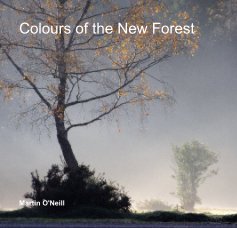 Colours of the New Forest book cover