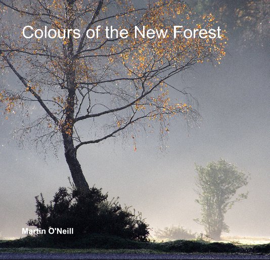 Bekijk Colours of the New Forest op Martin O'Neill