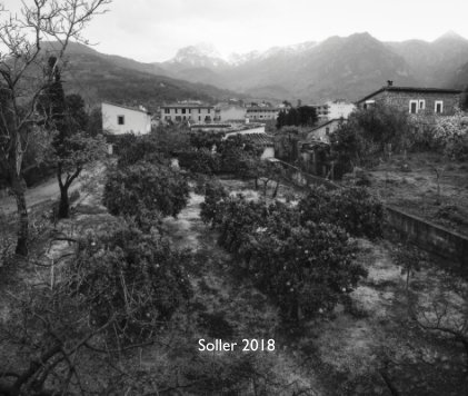 Soller 2018 book cover