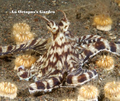 An Octopus's Garden by Morris Gregory book cover