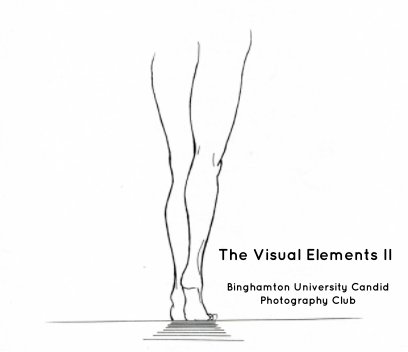 The Visual Elements II book cover