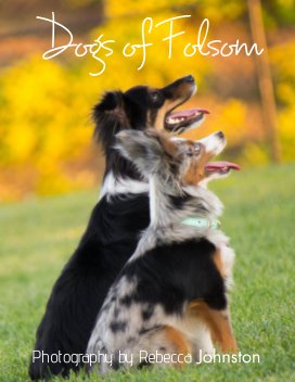 Dogs of Folsom book cover