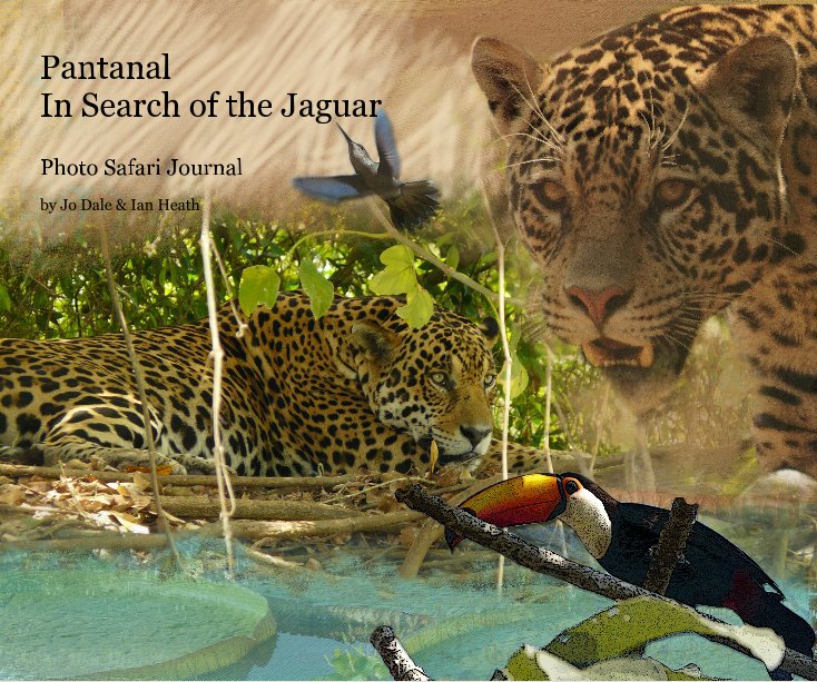 View Pantanal In Search of the Jaguar by Jo Dale & Ian Heath
