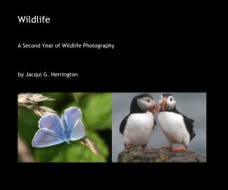 Wildlife book cover