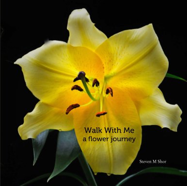 Walk With Me                    a flower journey book cover