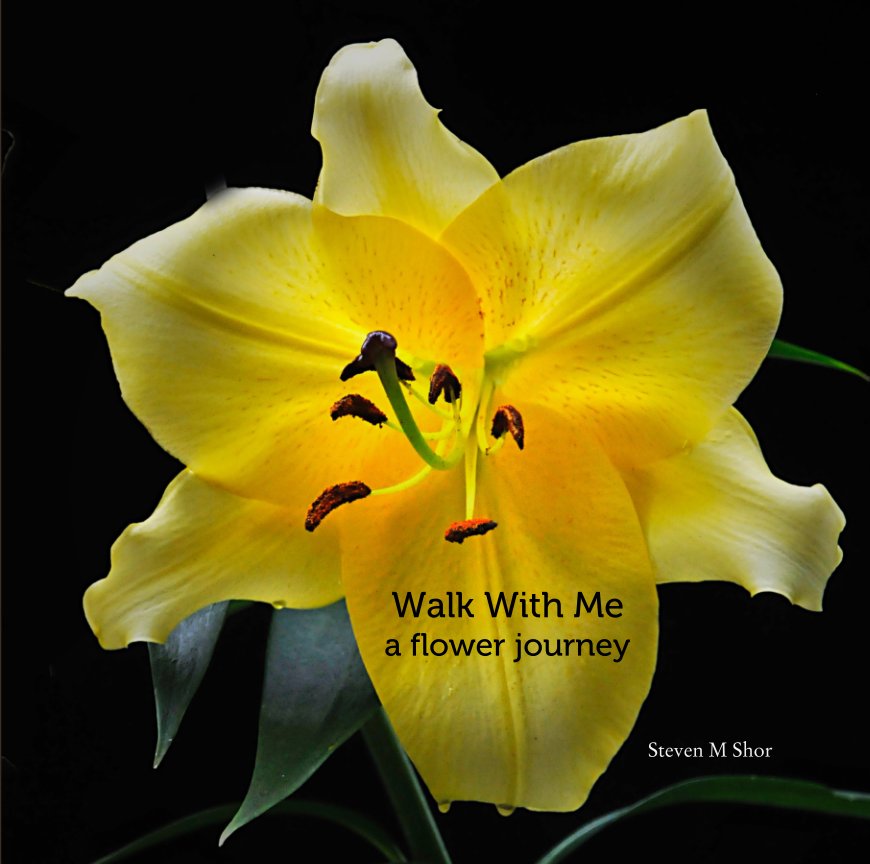 View Walk With Me                    a flower journey by Steven M Shor