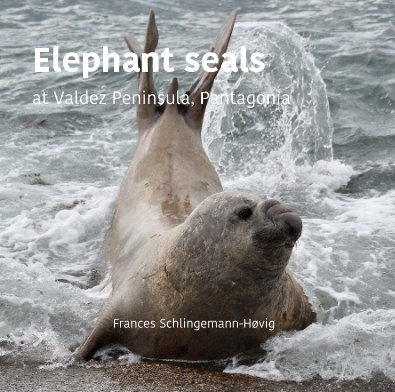 Elephant seals at Valdez Peninsula, Pantagonia book cover
