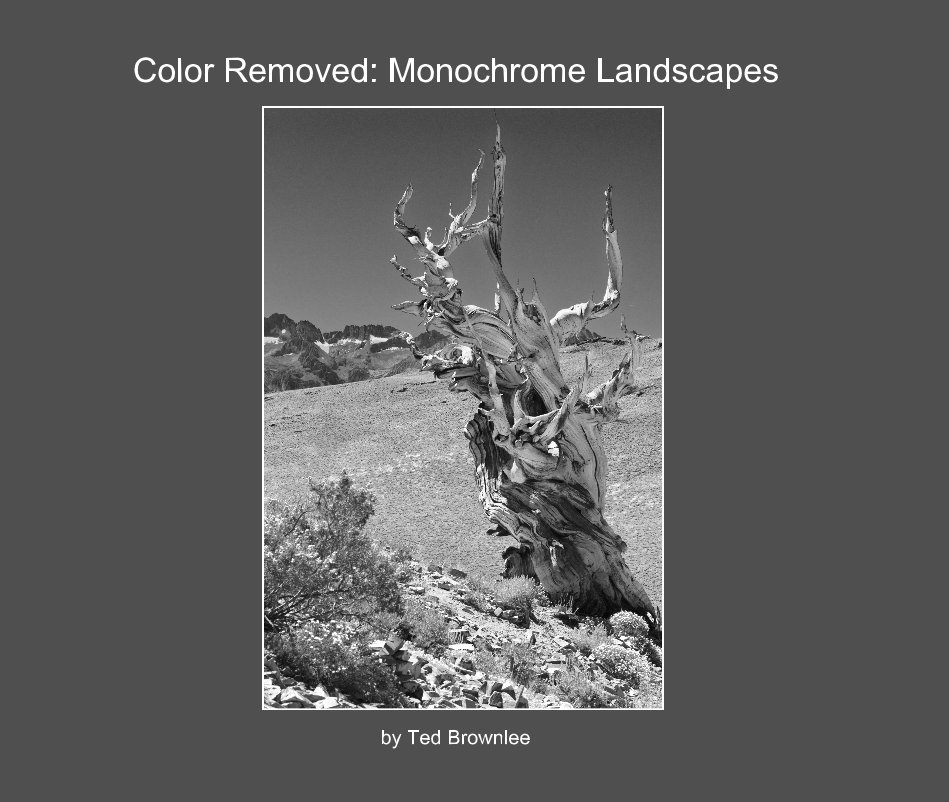 View Color Removed: Monochrome Landscapes by Ted Brownlee