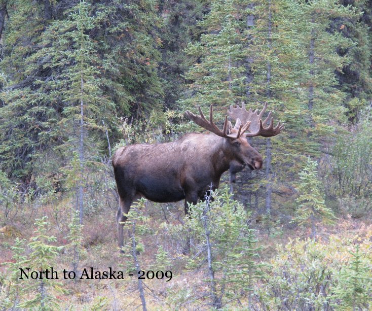 View North to Alaska - 2009 by Dorey Evans