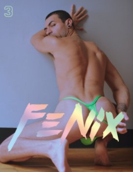 fenix zine: 3 book cover