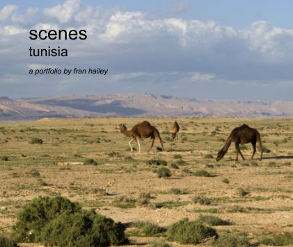 scenes tunisia book cover