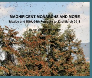 MAGNIFICENT MONARCHS AND MORE book cover